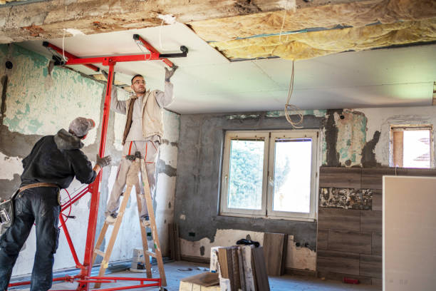 Best Insulation Maintenance and Repair in Plano, IL